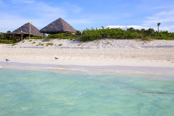 Paisaje Tropical Con Palmeras Bajo Cielo Azul Horizontalmente — Foto de Stock