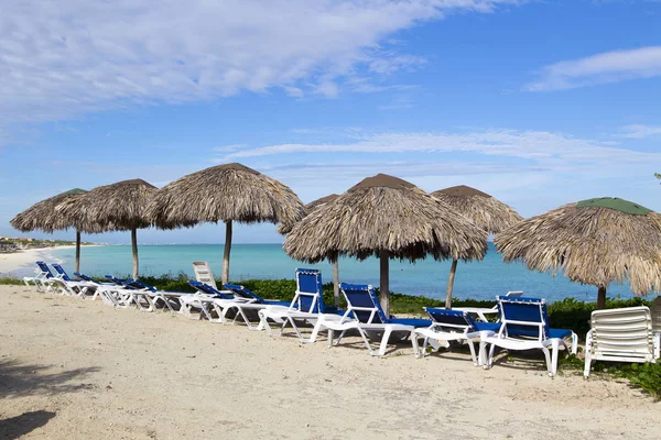 Paesaggio Tropicale Con Palme Sotto Cielo Blu Orizzontalmente — Foto Stock