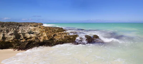 Paisaje Tropical Con Palmeras Bajo Cielo Azul Horizontalmente —  Fotos de Stock