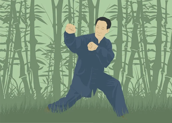 L'homme démontre la technique du Kung Fu, contre le backg — Image vectorielle