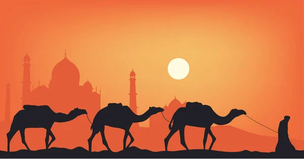 Camels in the desert against the background of the mosque. — Stock Vector