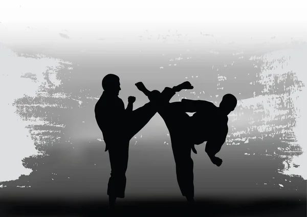 Dos hombres demuestran karate . — Vector de stock