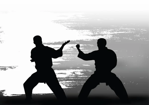 Dos hombres demuestran karate — Archivo Imágenes Vectoriales