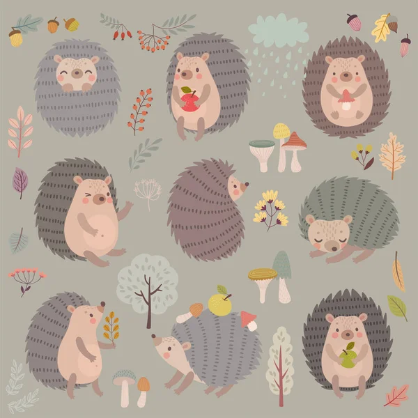 Hedgehog Set Hand Drawn Style Cute Woodland Characters Playing Sleeping — Stock Vector