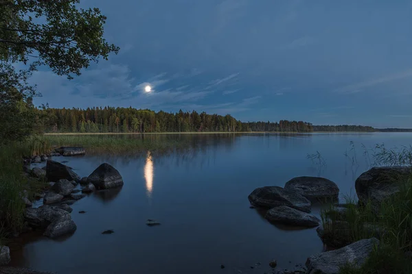 Paisaje natural iluminado por la luna —  Fotos de Stock