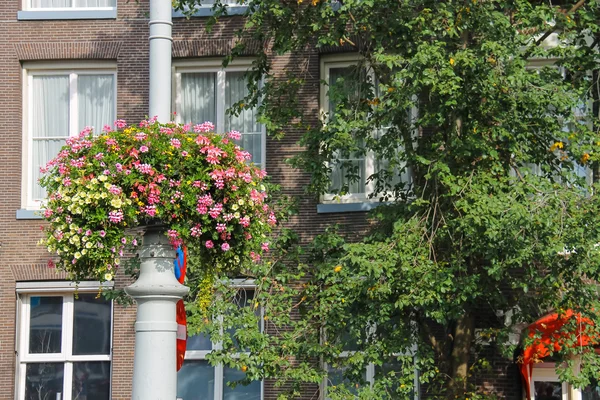 Dekoracyjne kwiaty na słupie w pobliżu budynek w Amsterdamie, — Zdjęcie stockowe