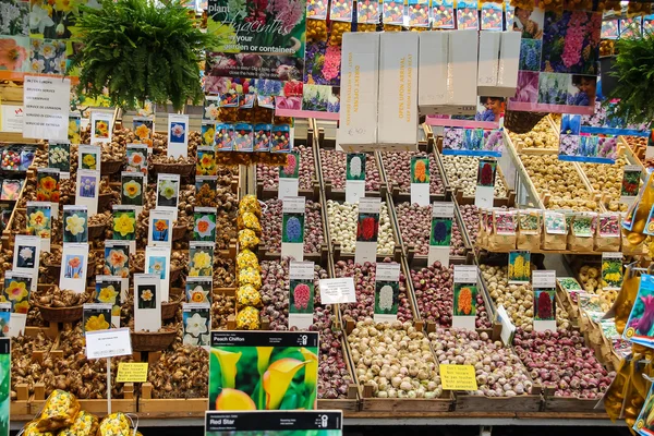 Loja de sementes de flores no centro de Amsterdã, Países Baixos — Fotografia de Stock