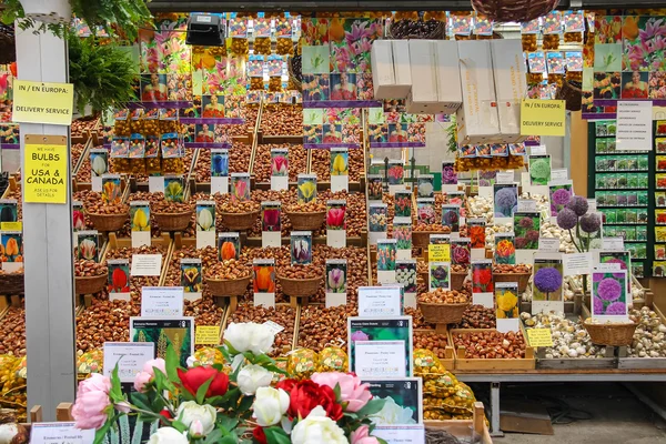 Loja de sementes de flores no centro de Amsterdã, Países Baixos — Fotografia de Stock