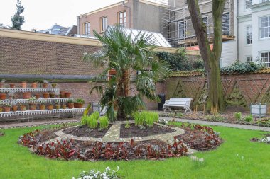 Utrecht Üniversitesi avluda tarihi kent merkezi, Net