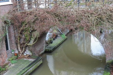 Utrecht, Hollanda Oudegracht kanalı'nın eski köprüler