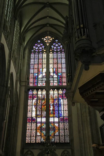 Stained glass window of St. Martins Cathedral in Utrecht, the Ne — Stock Photo, Image