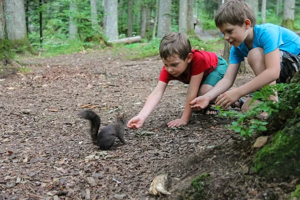 Två pojkar mata svarta ekorren i stadsparken — Stockfoto