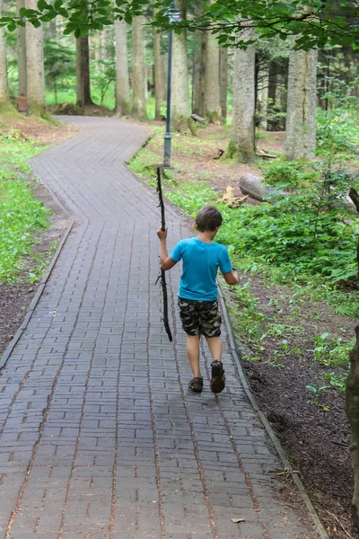 Boy with long wooden stick in forest park — Stock Photo, Image