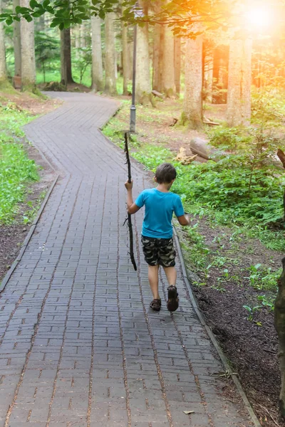 Boy with long wooden stick in forest park in sunlight — Stock Photo, Image
