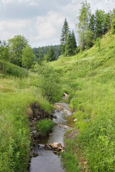 Ruisseau étroit entre les collines des Carpates — Photo