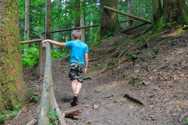 Chłopiec spacery wśród drzew w parku leśnym — Zdjęcie stockowe