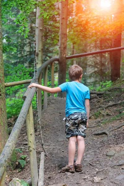 Хлопчик стоїть серед дерев у лісовому парку — стокове фото