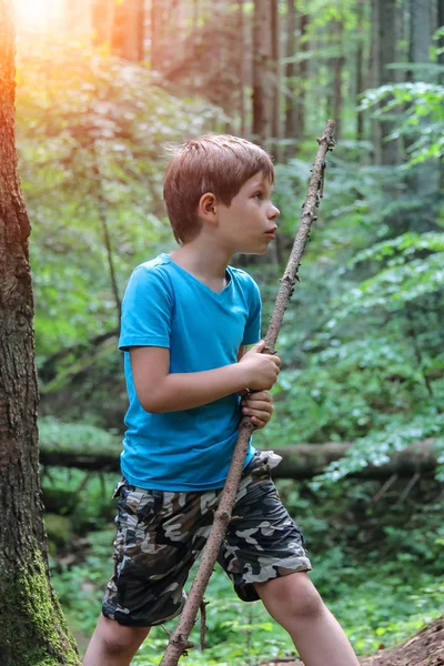 Boy with long wooden stick in forest park in sunlight — Stock Photo, Image