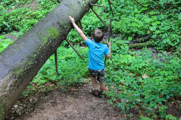 Jongen in de buurt van grote droge omgevallen boom in forest park — Stockfoto