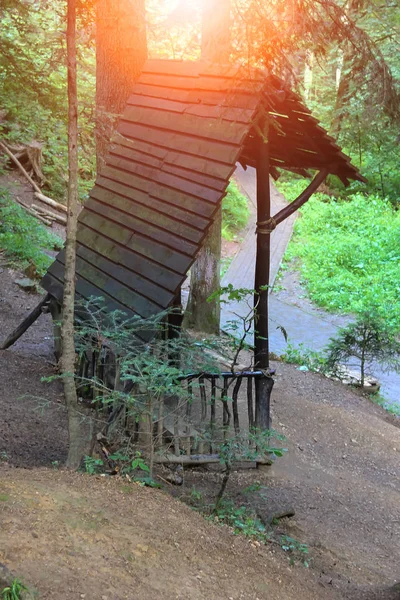 Старий дерев'яний навіс з лавкою в лісовому парку на сонячному світлі — стокове фото