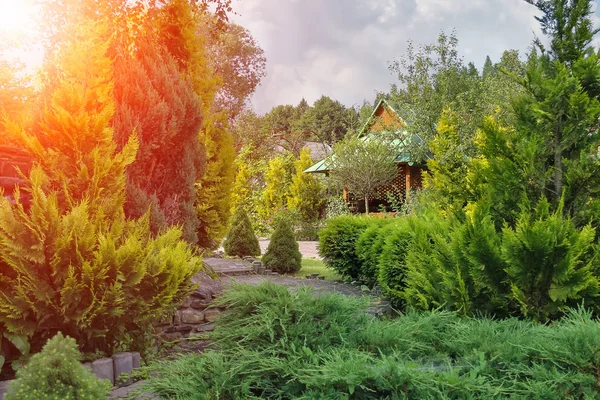 Coniferous garden with decorative arbor — Stock Photo, Image