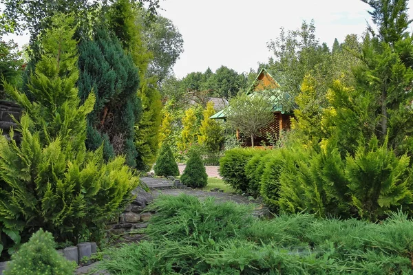 Jehličnaté zahrada s ozdobnými arbor — Stock fotografie