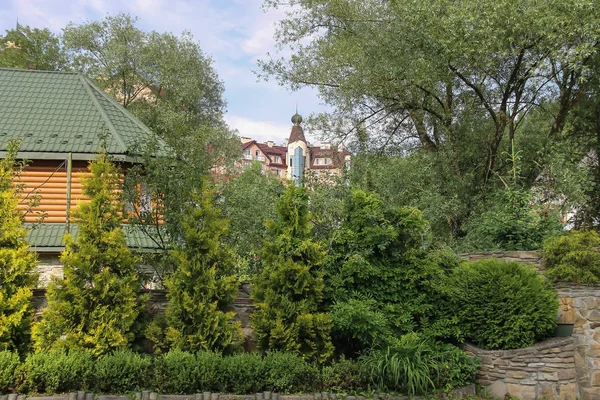 Small coniferous garden near wooden building — Stock Photo, Image