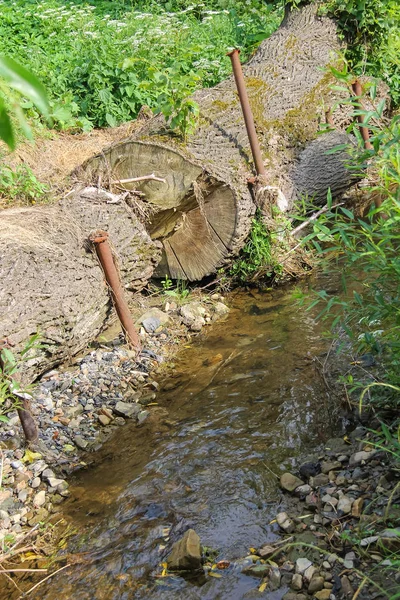 Estrecho arroyo entre árboles en parque forestal — Foto de Stock