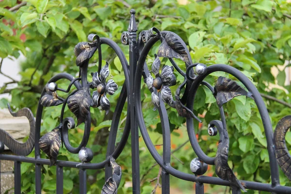 Елементи декоративного квіткового орнаменту в кованому паркані — стокове фото