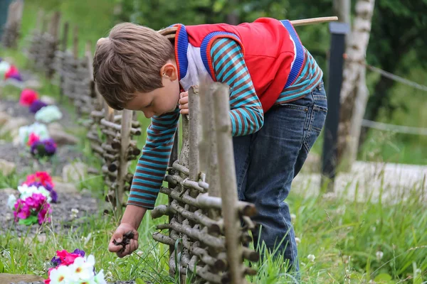 Niño con espada de madera cerca del parterre original con fe decorativa — Foto de Stock