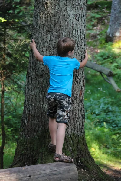 Boy hugs wild trunk of old tree in summer forest — Stock Photo, Image