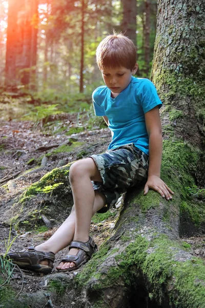 Красивый мальчик сидит в летнем лесу — стоковое фото