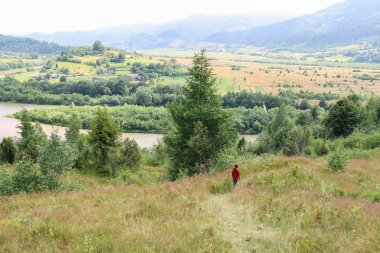 Çocuk Karpatlar pitoresk tepeler yürür. Schodnica, Ukrayna
