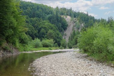 Nehir Schodnica Karpatlar, Ukrayna