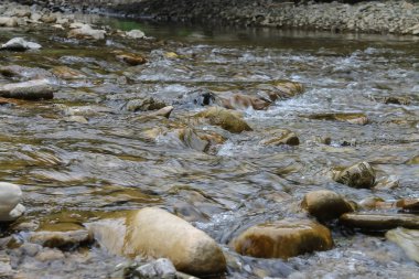 Büyük kayalar nehir su. Karpatlar, Ukrayna