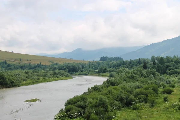 Schodnica rzeki w regionie Karpaty, Ukraina — Zdjęcie stockowe