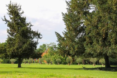 Barok saray ve park Villa Sorra. Castelfranco Emilia, Mod