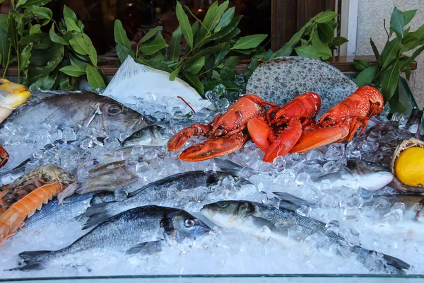 Fresh and cooked seafood in ice on display case — Stock Photo, Image