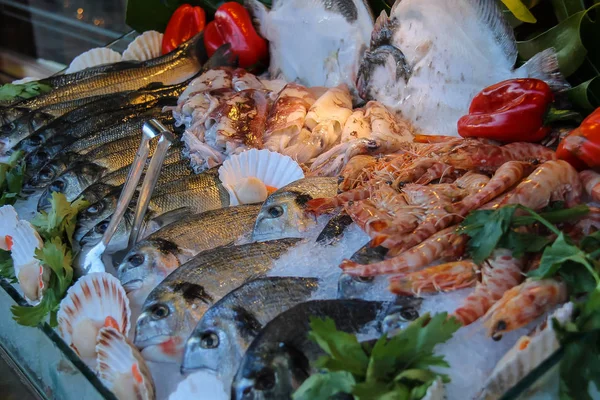 Seafood segar di es pada kasus display — Stok Foto