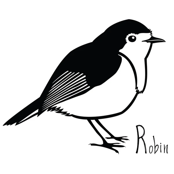 Colección de aves Robin Vector blanco y negro — Archivo Imágenes Vectoriales