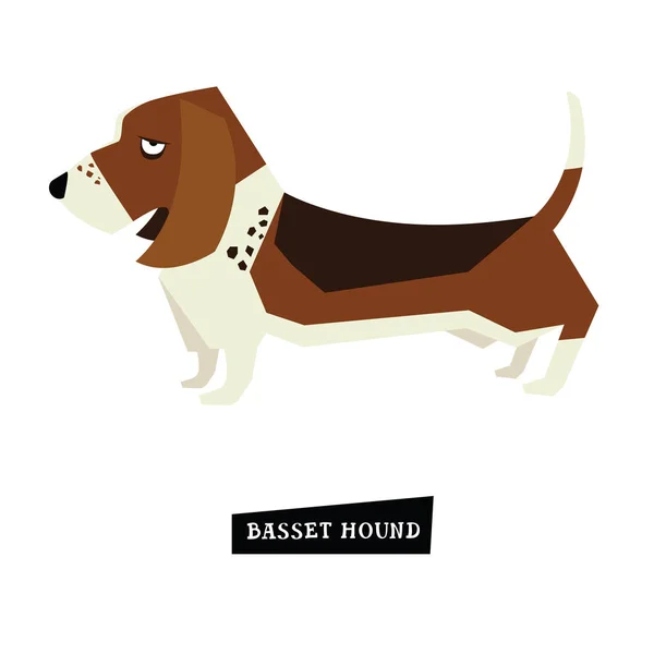 Colección perro Basset Hound — Vector de stock