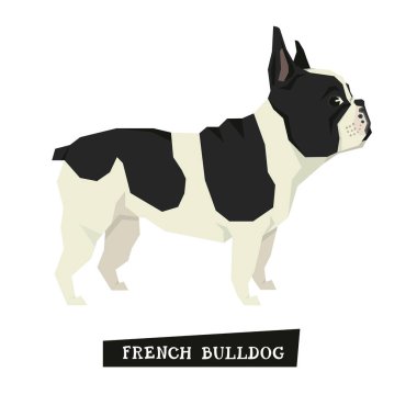 Köpek toplama Fransız buldozer geometrik tarzı