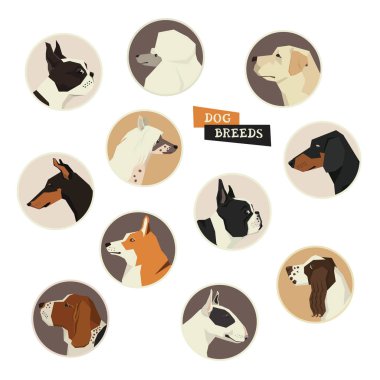 Köpek koleksiyonu. Vektör 11 köpek doğurmak-in ayarlayın. Geometrik tarzı ICO