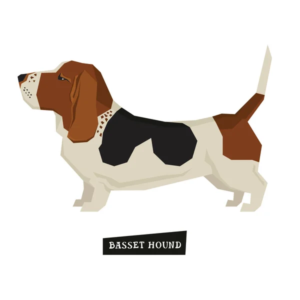 Colección perros Basset Hound Estilo geométrico — Vector de stock