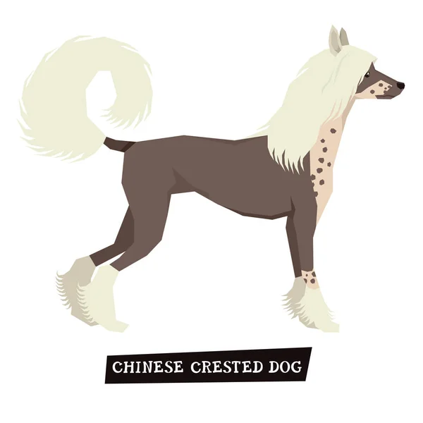 Κινεζικό λοφιοφόρο σκυλί γεωμετρικό ύφος — Διανυσματικό Αρχείο