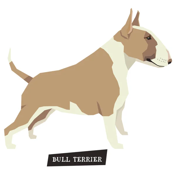 Colección de perros Bull Terrier Fawn y color Blanco — Vector de stock