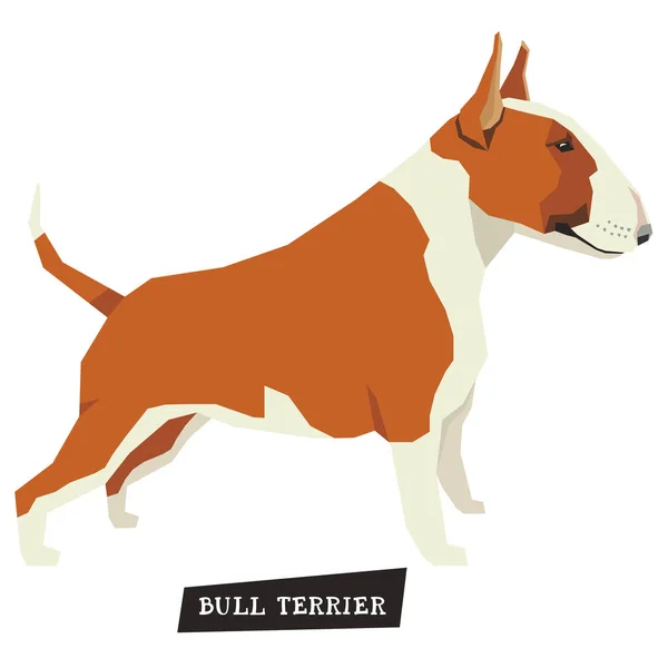 Colección perros Bull Terrier color rojo y blanco — Vector de stock