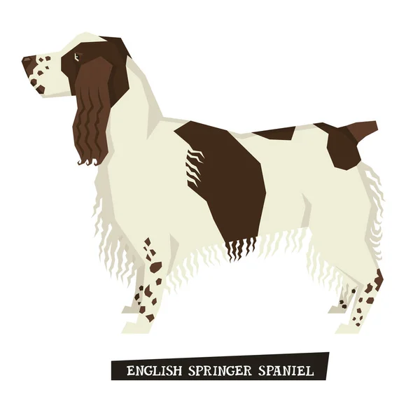 Colección perro Inglés Springer Spaniel Estilo geométrico — Vector de stock