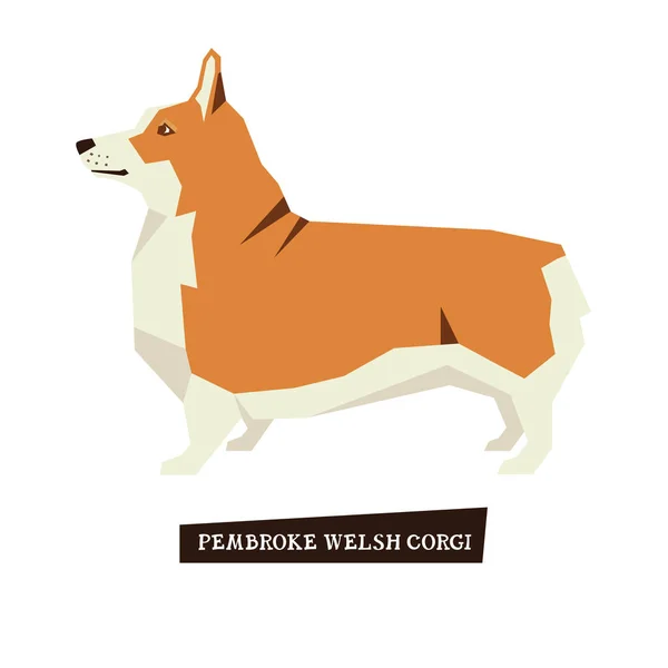 Colección de perros Pembroke Galés Corgi — Archivo Imágenes Vectoriales