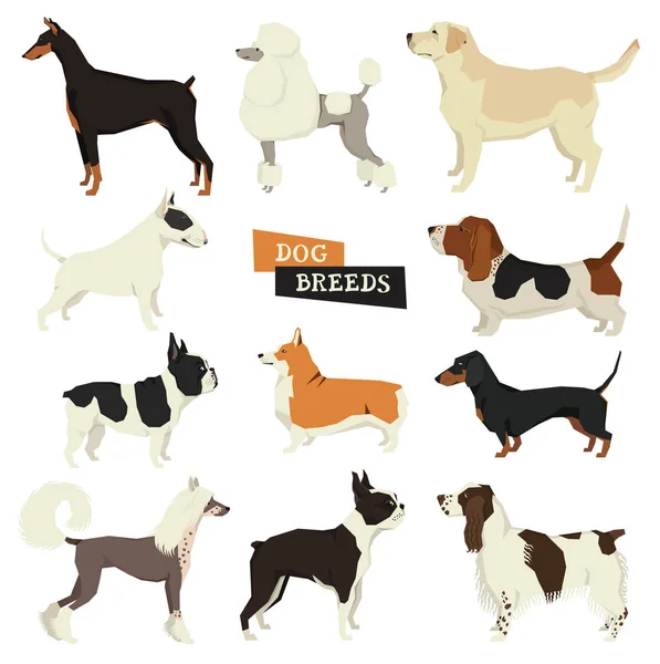 Colecţia de câini. Stilul geometric. Set vectorial de 11 rase de câini. Este — Vector de stoc